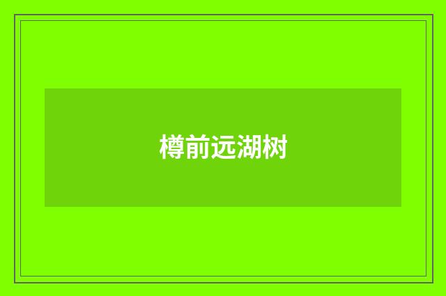 樽前远湖树
