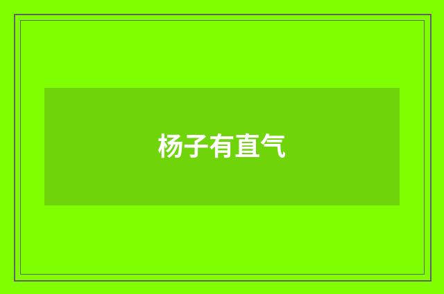 杨子有直气