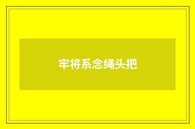 牢将系念绳头把