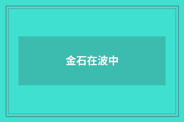 金石在波中