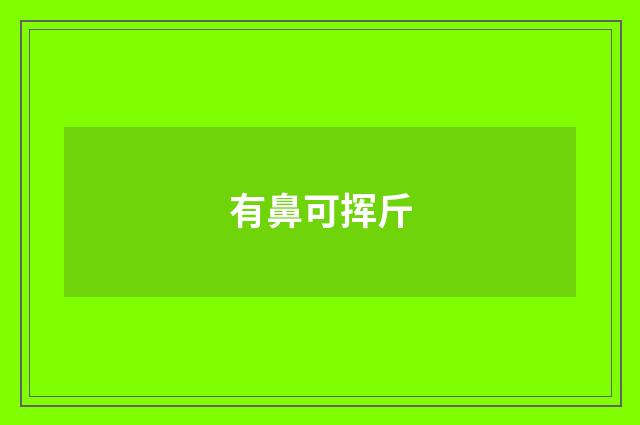 有鼻可挥斤