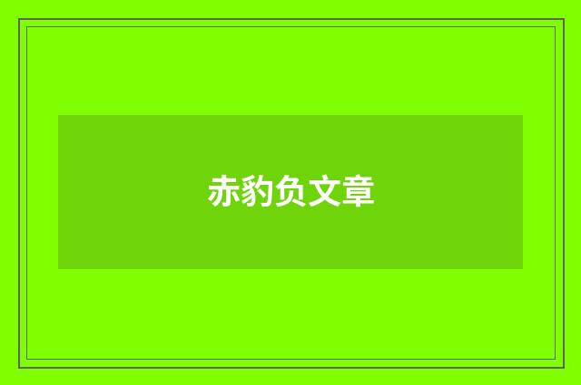 赤豹负文章