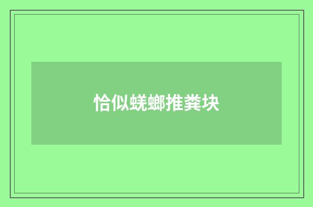 恰似蜣螂推粪块