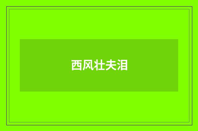 西风壮夫泪
