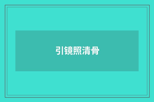 引镜照清骨