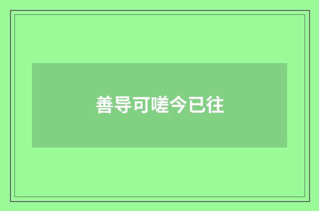 善导可嗟今已往