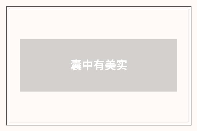 囊中有美实