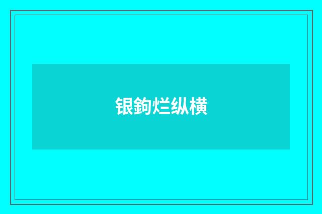 银鉤烂纵横