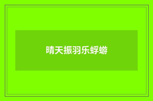 晴天振羽乐蜉蝣