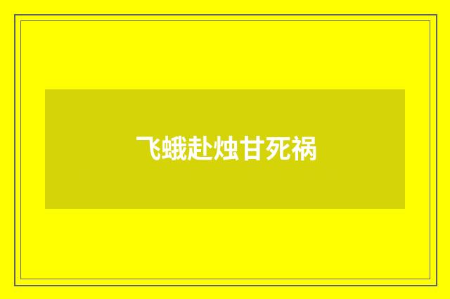 飞蛾赴烛甘死祸