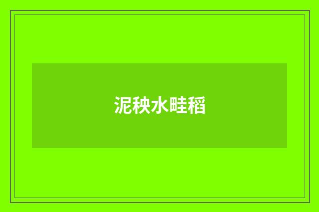 泥秧水畦稻