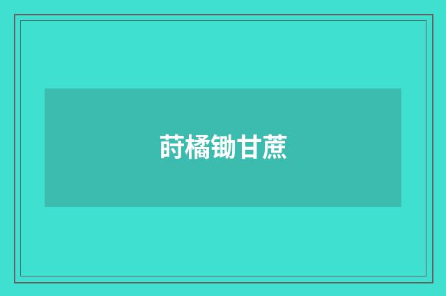 莳橘锄甘蔗