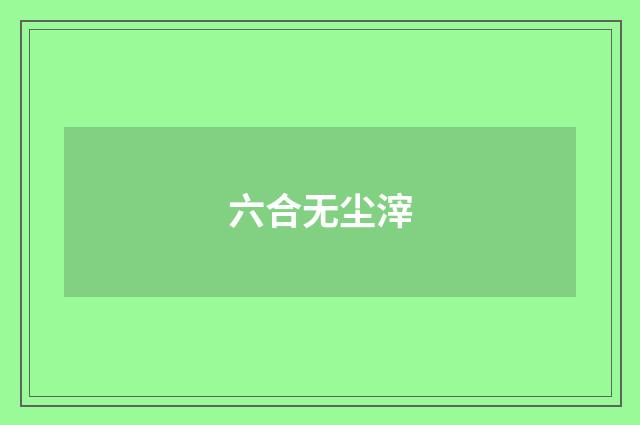 六合无尘滓