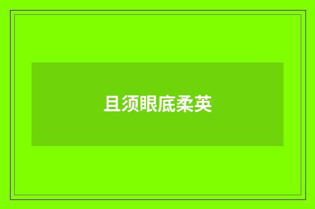 且须眼底柔英