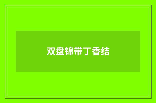 双盘锦带丁香结