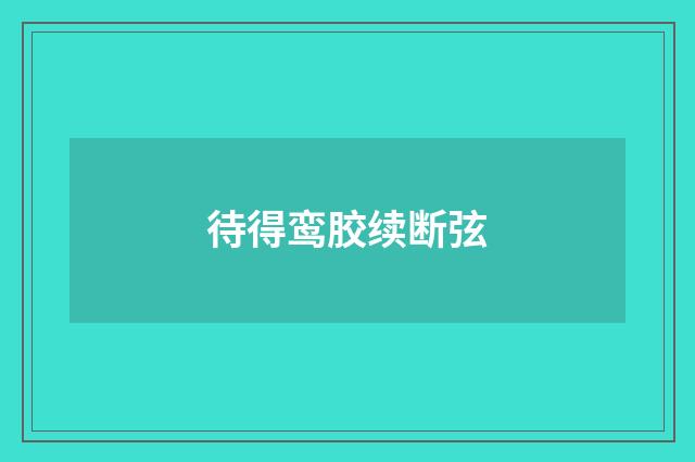 待得鸾胶续断弦
