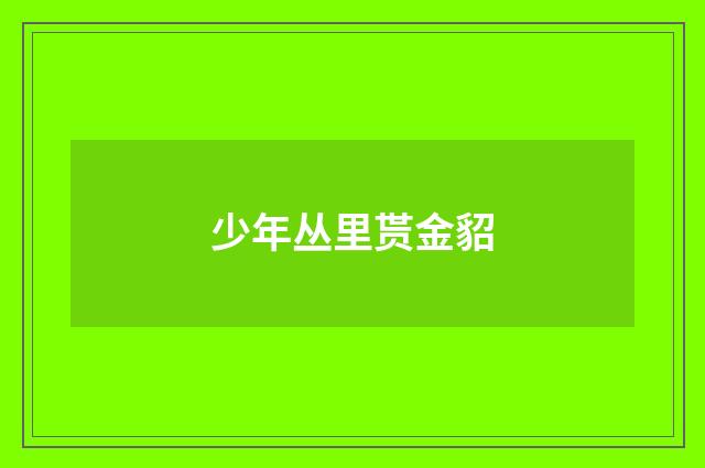 少年丛里贳金貂
