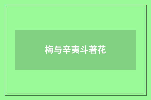 梅与辛夷斗著花