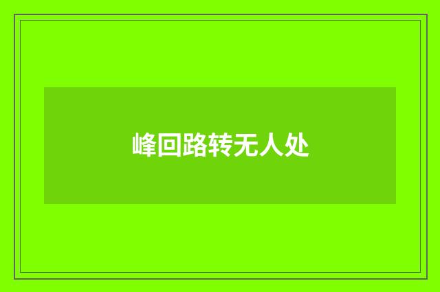 峰回路转无人处