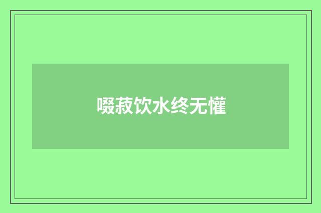啜菽饮水终无懽