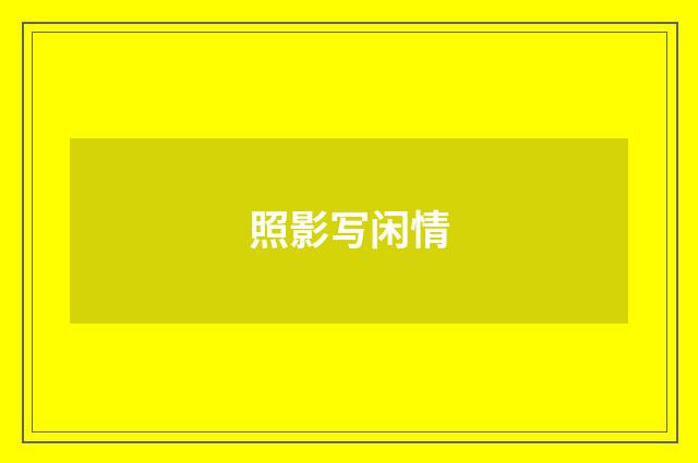 照影写闲情