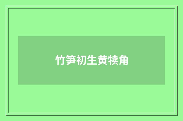竹笋初生黄犊角