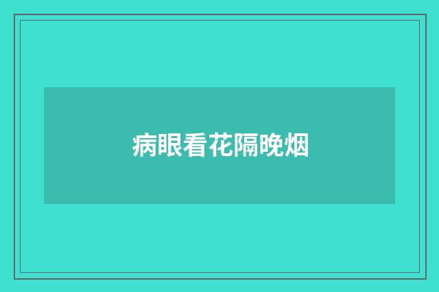 病眼看花隔晚烟