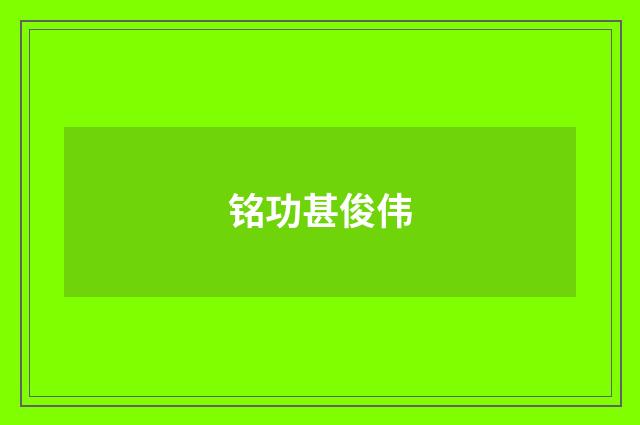 铭功甚俊伟