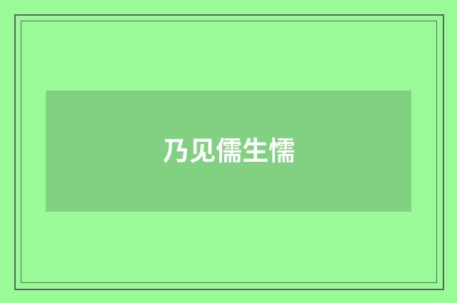 乃见儒生懦