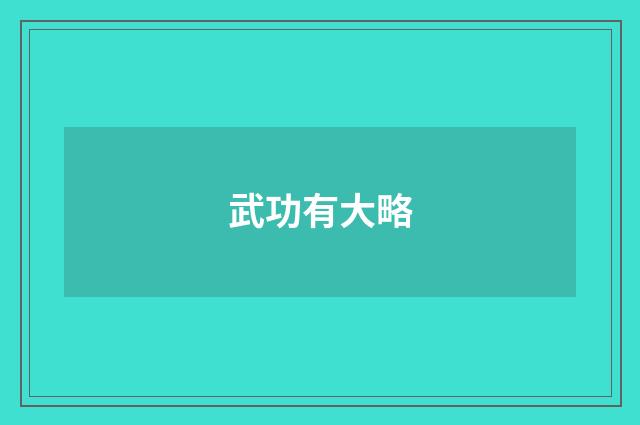 武功有大略