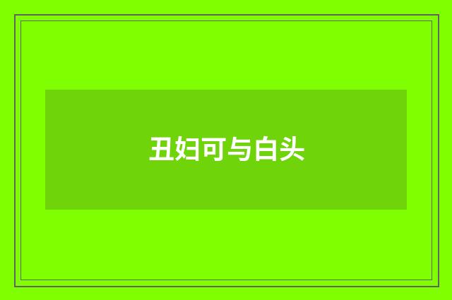 丑妇可与白头