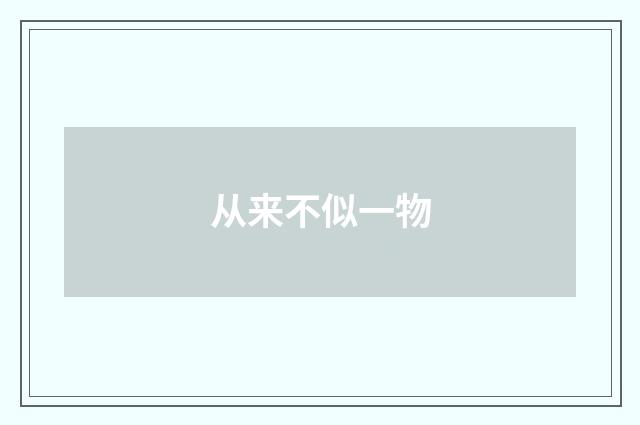 从来不似一物