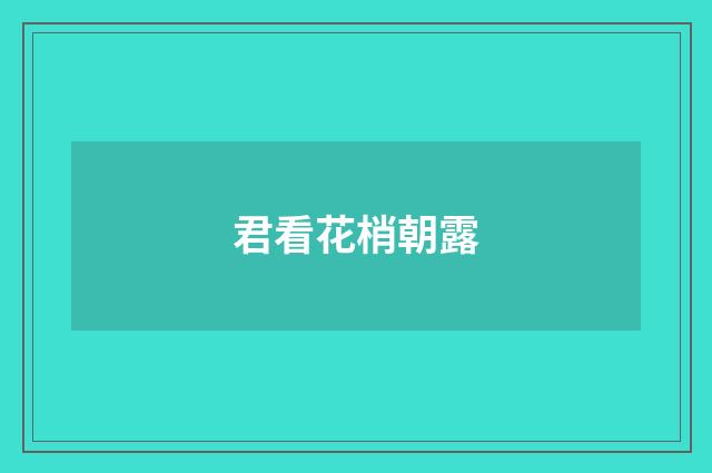 君看花梢朝露