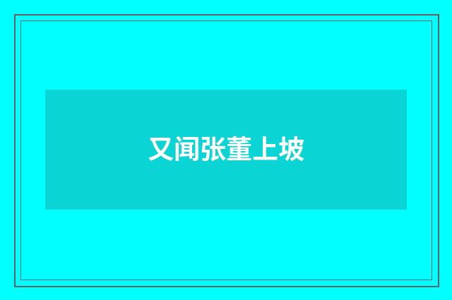 又闻张董上坡