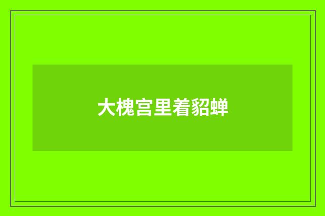 大槐宫里着貂蝉