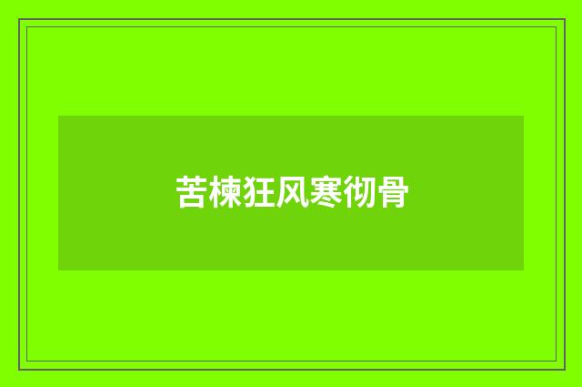 苦楝狂风寒彻骨