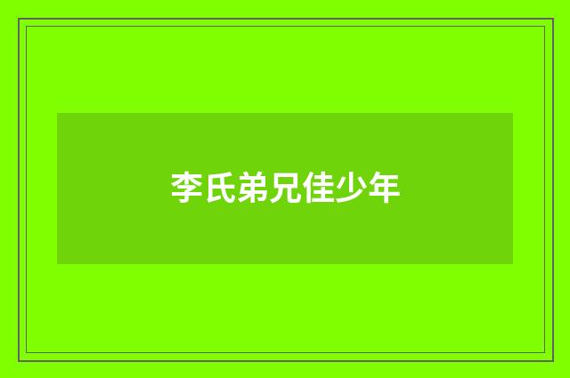 李氏弟兄佳少年