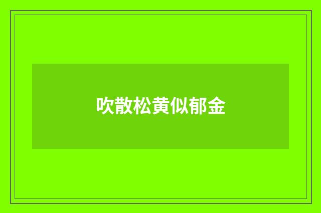 吹散松黄似郁金
