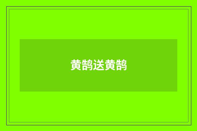 黄鹄送黄鹄