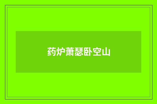 药炉萧瑟卧空山