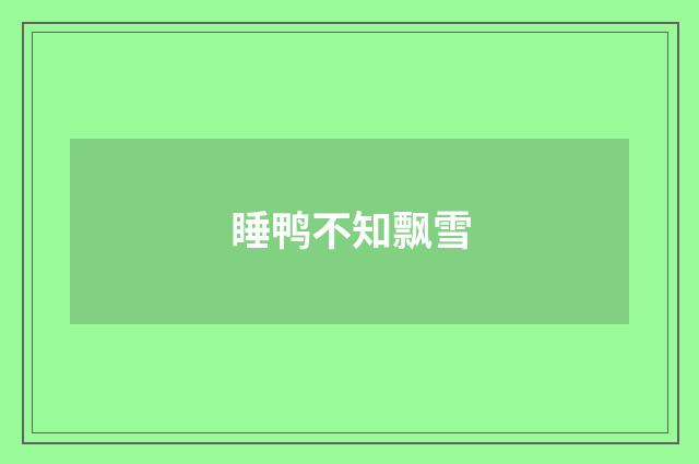 睡鸭不知飘雪