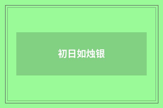 初日如烛银