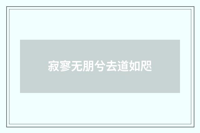 寂寥无朋兮去道如咫