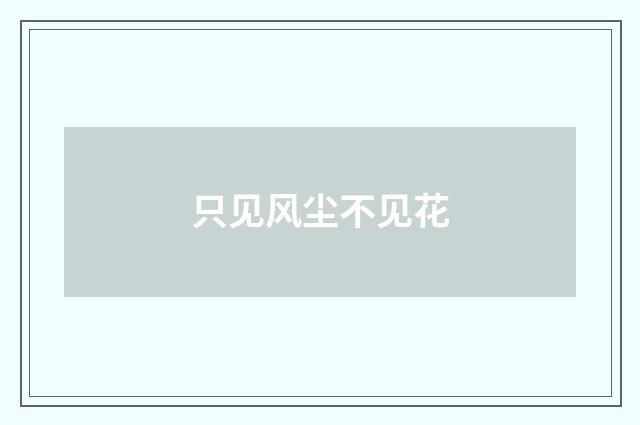 只见风尘不见花