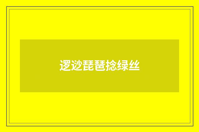 逻逤琵琶捻绿丝
