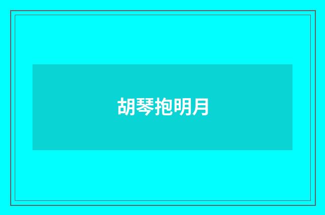 胡琴抱明月