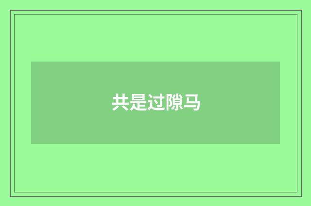 共是过隙马