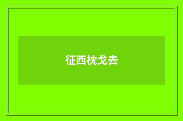 征西枕戈去