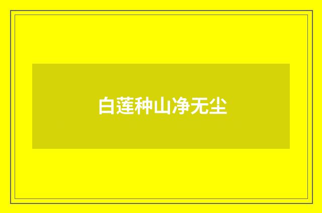 白莲种山净无尘