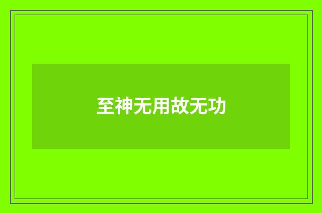 至神无用故无功